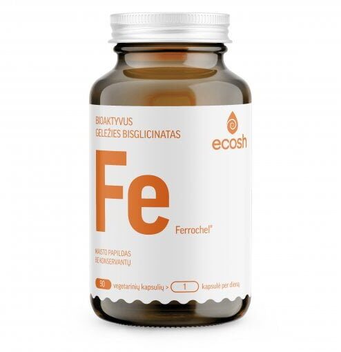 Ecosh Bioaktyvi Geležis su vitaminu C kapsulės N90