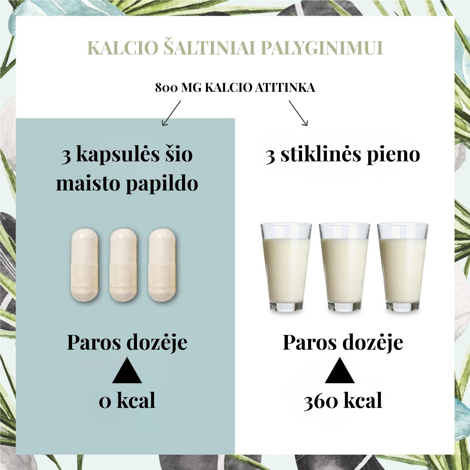 NATURTREU Kalcis su Vitaminu C, 120 kapsulių - Image 3