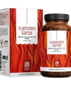 NATURTREU Kurkuminas 95% ir Bosvelija, ekstraktai su Piperinu maksimaliam įsisavinimui, 90 kapsulių